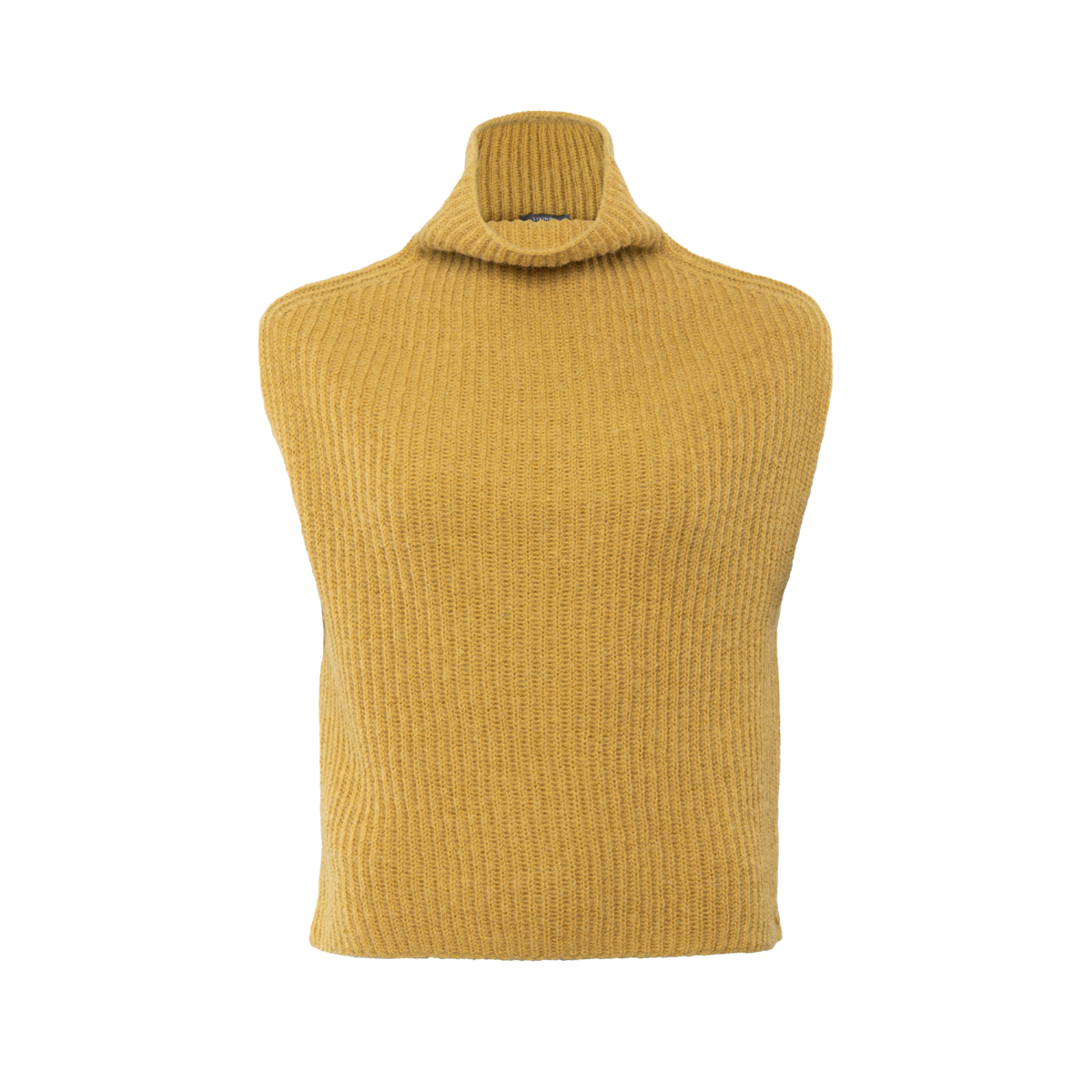 Yellow Vest, PAMELINA