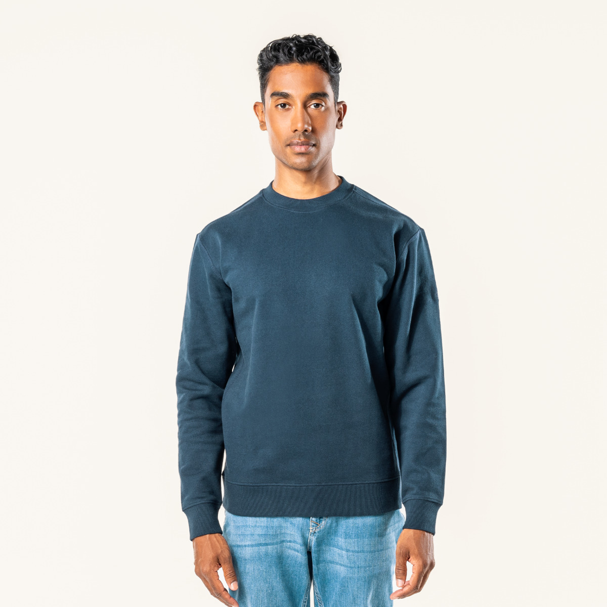 Bleu Hommes Pullover