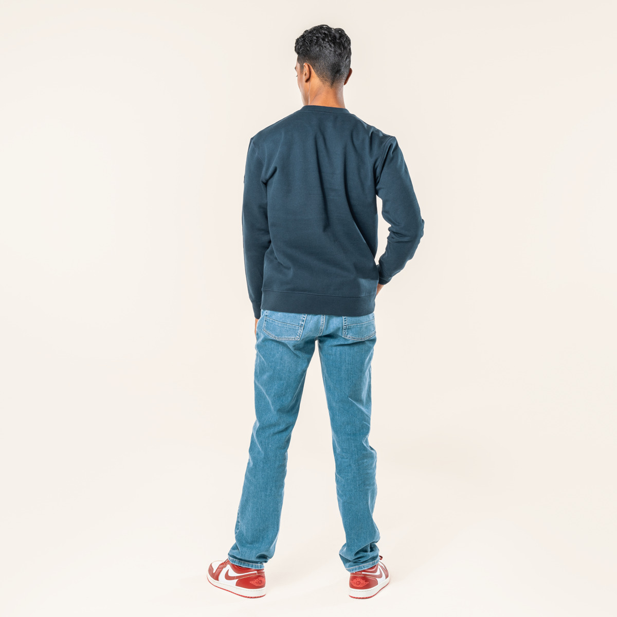 Bleu Hommes Pullover