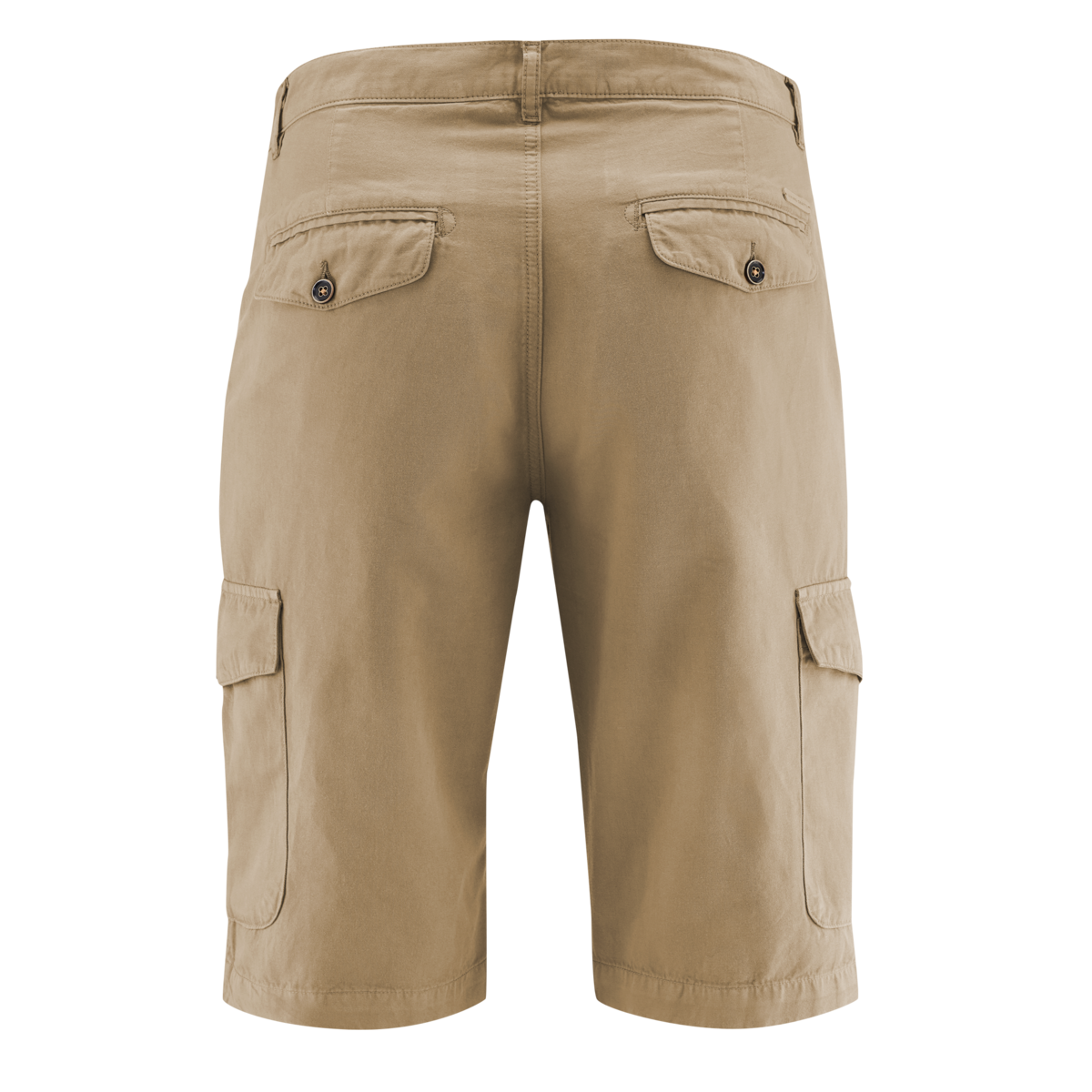 Brown Men Bermuda shorts