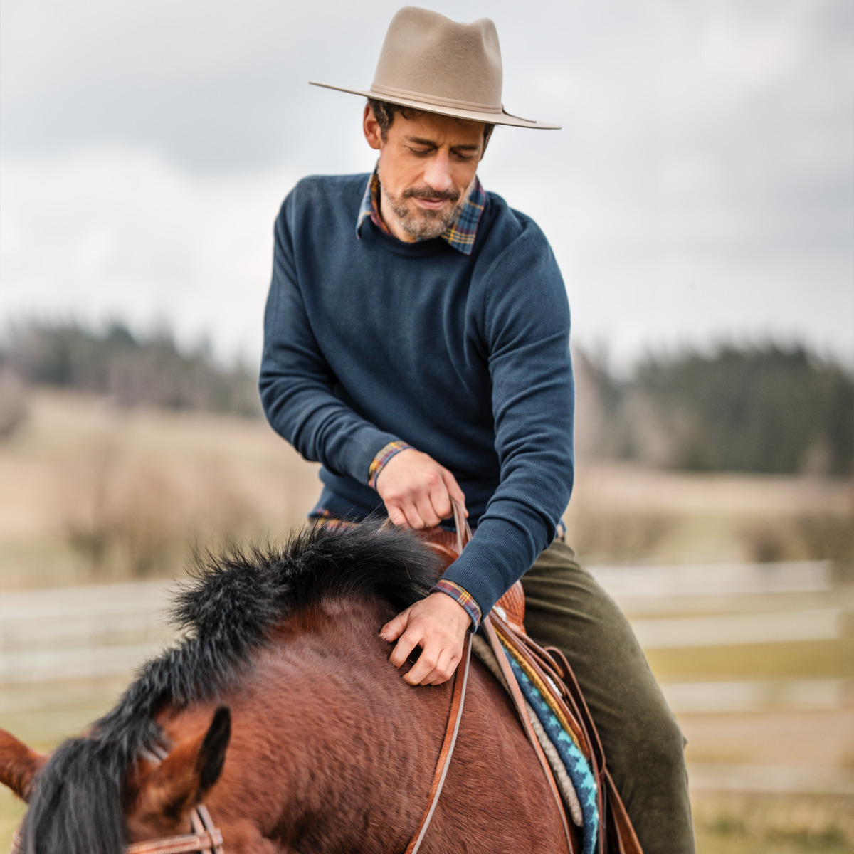 Bleu Hommes Pullover